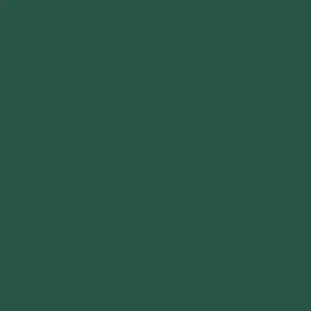 RAL 6028 Pine green windows window-color aluminum-ral ral-6028-pine-green texture