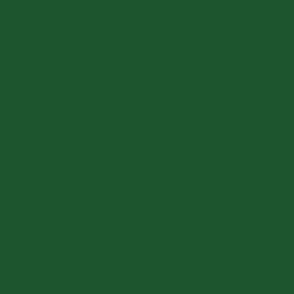 RAL 6035 Pearl green windows window-color aluminum-ral ral-6035-pearl-green texture