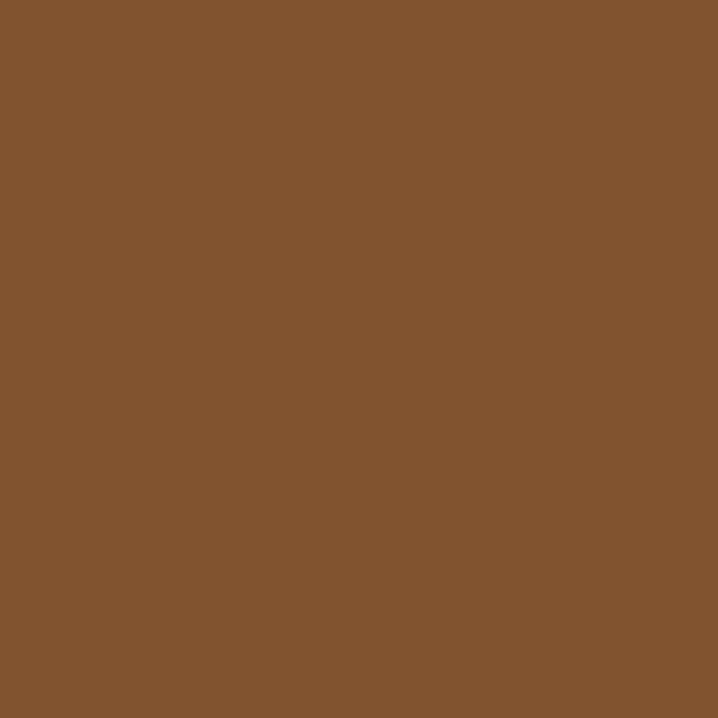RAL 8003 Clay brown windows window-color aluminum-ral ral-8003-clay-brown texture