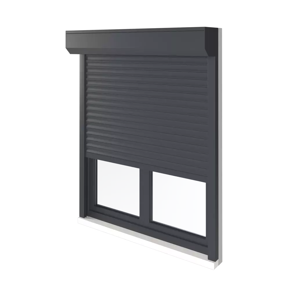 Roller blinds entry-doors   